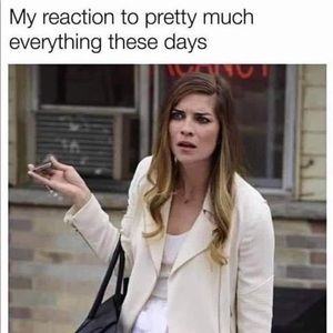 Meet your Posher, Willow